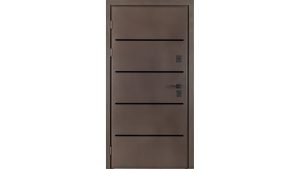 Двері вхідні в дім Форест 032 RAL 156 / Венге монтана Б-160 + молдинг 4