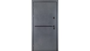Двері вхідні в дім Форест 035 RAL 137/венге аляска Б-160 + молдинг 1